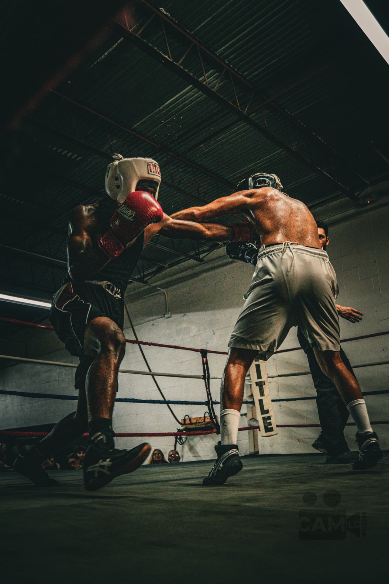 Ring Nights — Sports photography by Milo Media