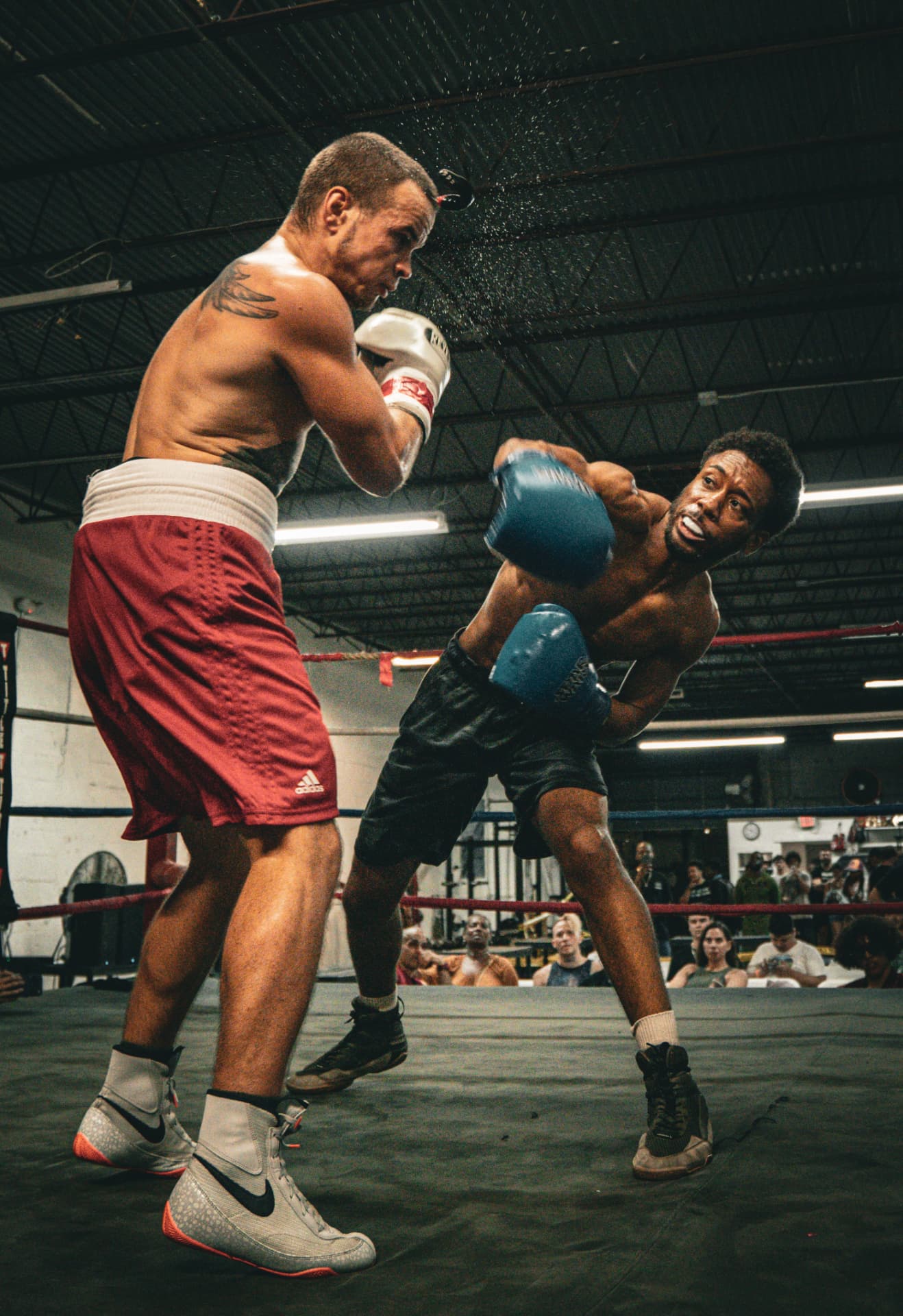 Counter Punch — Sports photography by Milo Media